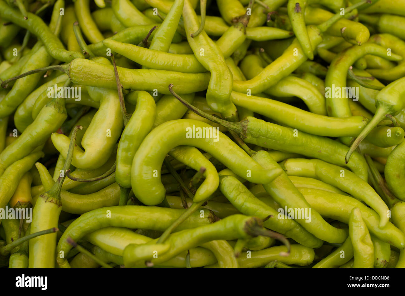 La nourriture et les épices en vente à Sardar Market - Jodhpur, Rajashtan, Inde Banque D'Images