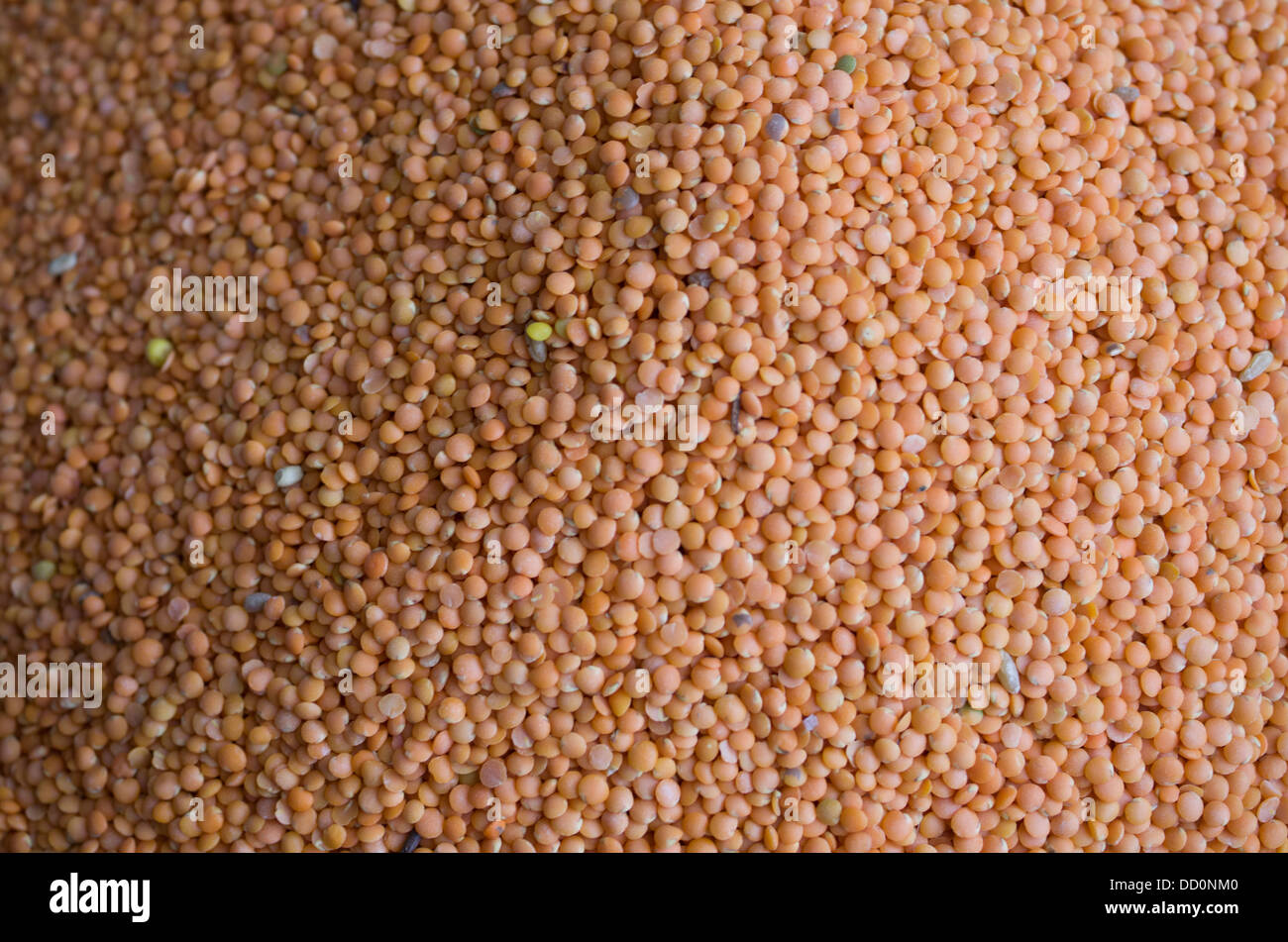Les lentilles orange en vente à Sardar Market - Jodhpur, Rajashtan, Inde Banque D'Images