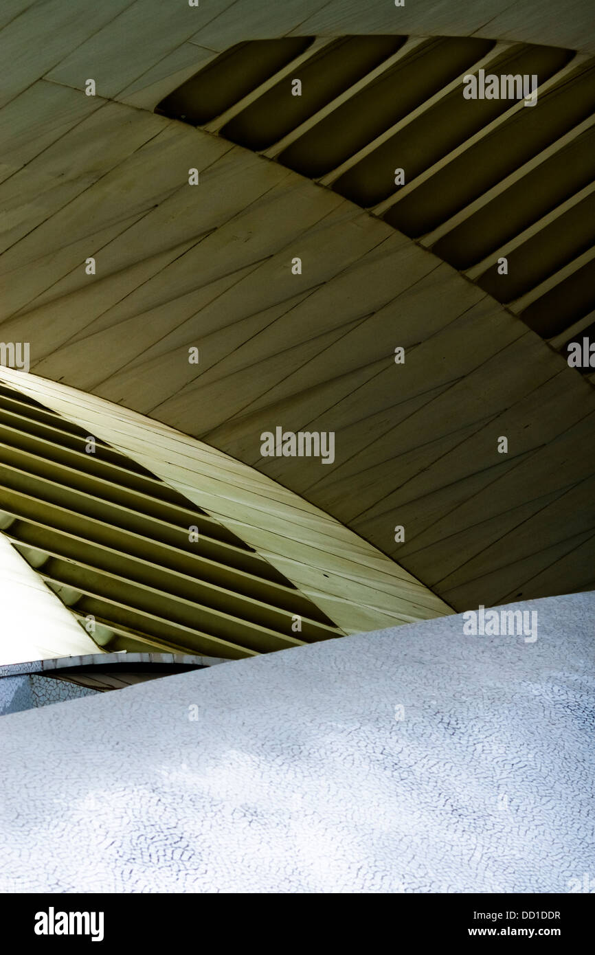 Un détail de l'opéra par l'architecte Santiago Calatrava . Valence (Espagne) Banque D'Images