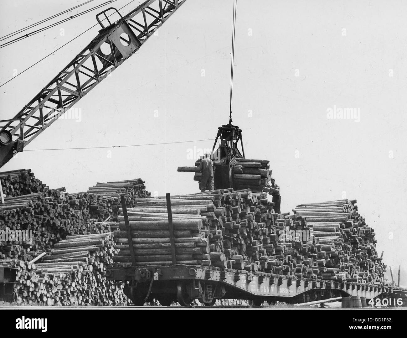 Grand Bois à pâte par grue sur les wagons plats - - 2129450 Banque D'Images