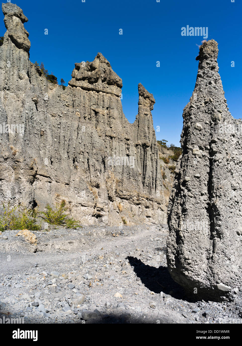 dh Putangrua Pinnacles WAIRARARAPA NOUVELLE-ZÉLANDE formation géologique de roche piliers de terre Aorangi Ranges falaises de vallée érosion Banque D'Images