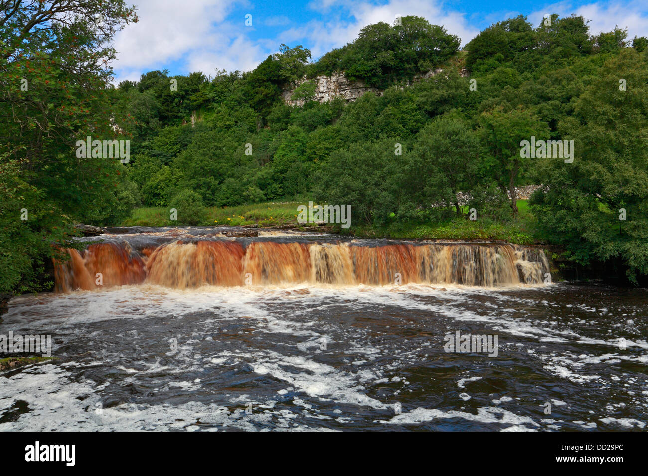 La rivière Swale à Force par Cotterby Wath Wain cicatrice près de Keld, Swaledale, Yorkshire du Nord, Yorkshire Dales National Park, England, UK. Banque D'Images