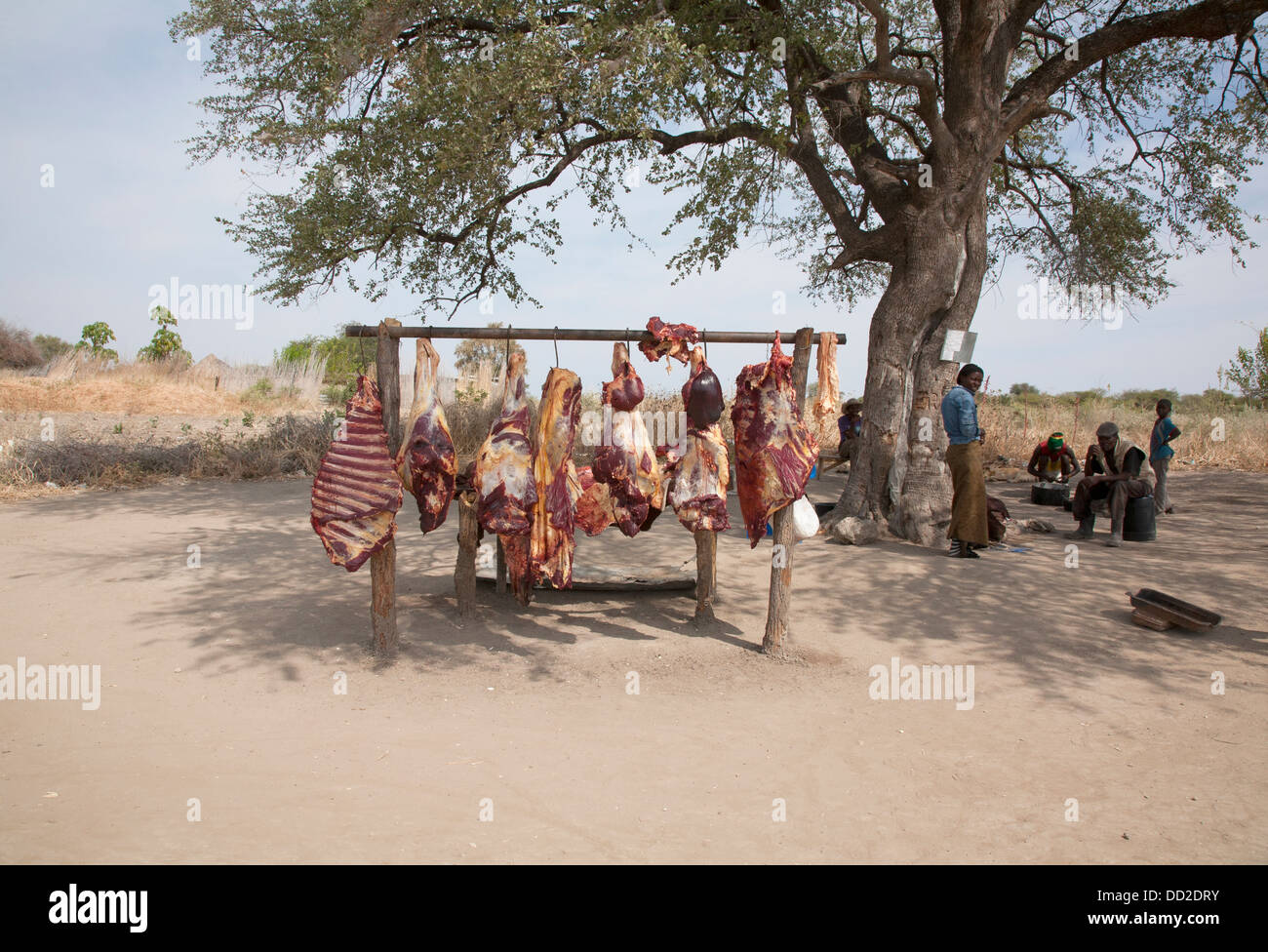 Le boucher en Namibie Banque D'Images