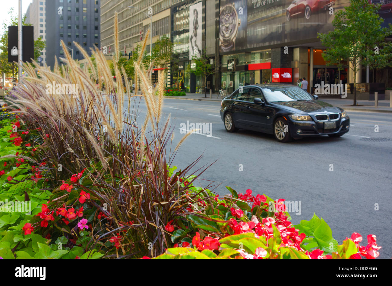 Une voiture passe par les magasins haut de gamme sur la rue Bloor's Mink Mile à Toronto, le plus cher l'espace de vente au détail au Canada. Banque D'Images