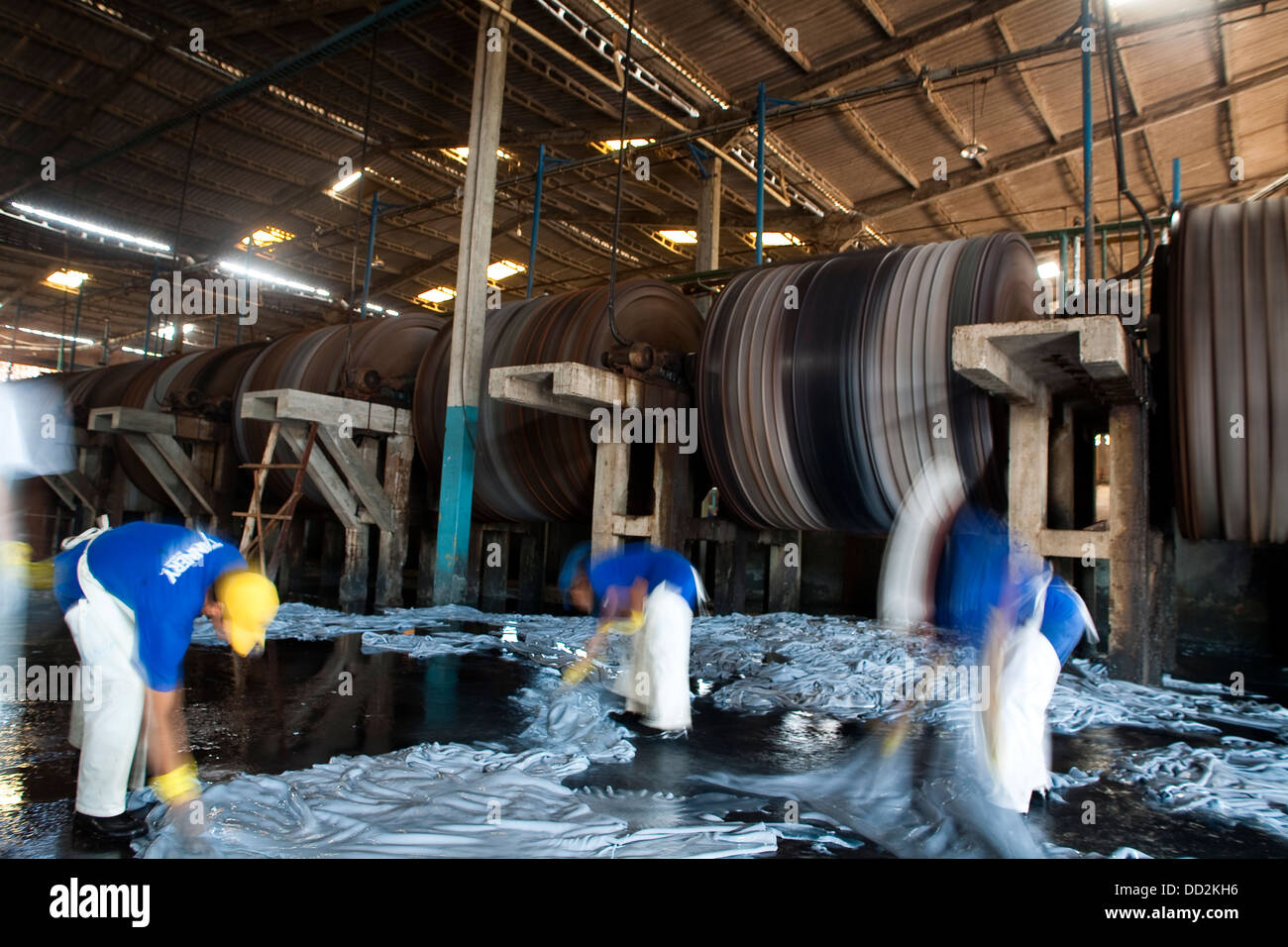 Tannerie dans Brésil, Caceres Ville, État du Mato Grosso, Amazon. Processus de tannage au chrome bleu humide produit un cuir souple Banque D'Images