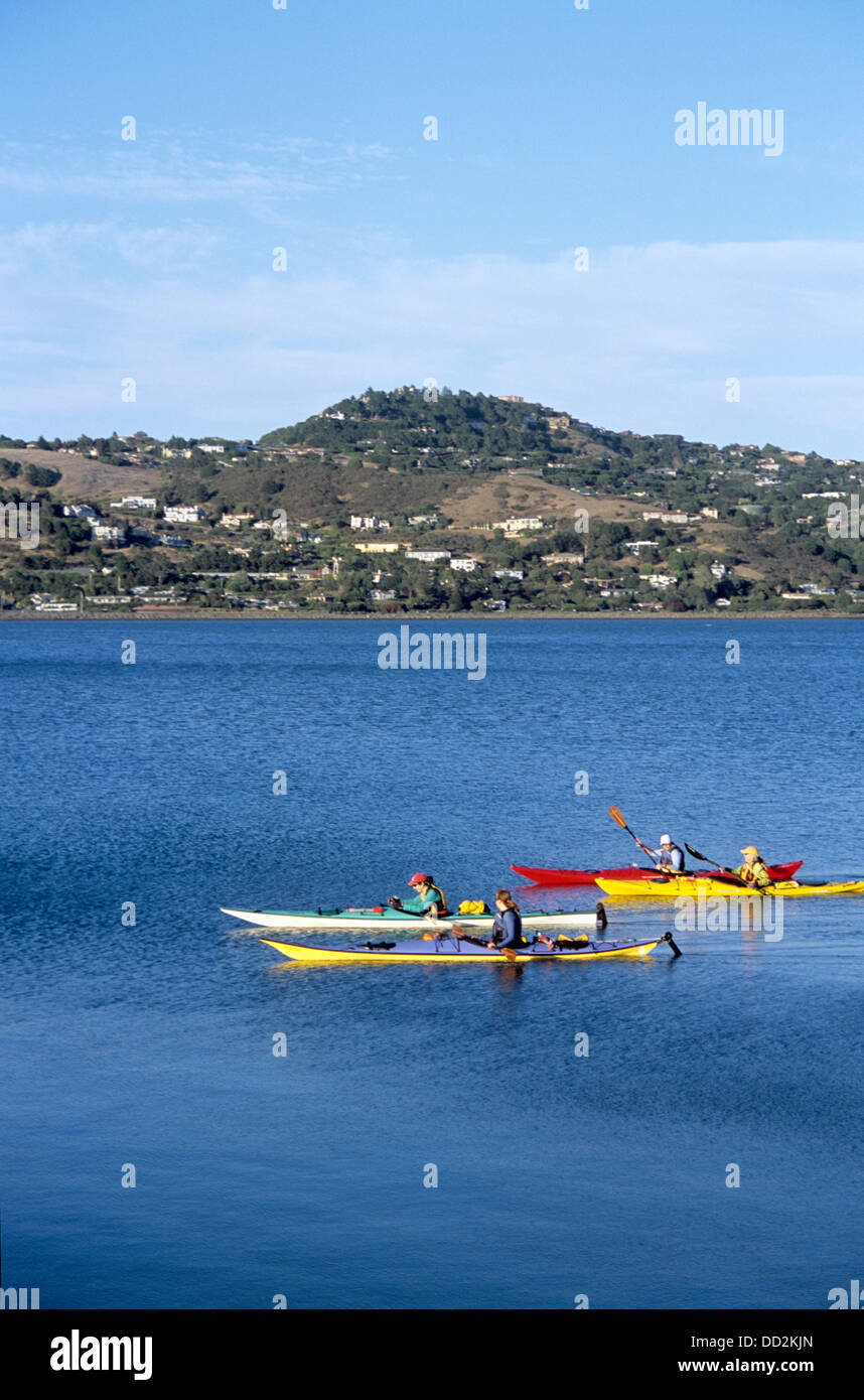 Quatre femmes amis kayak sur Richardson Bay dans le comté de Marin Banque D'Images