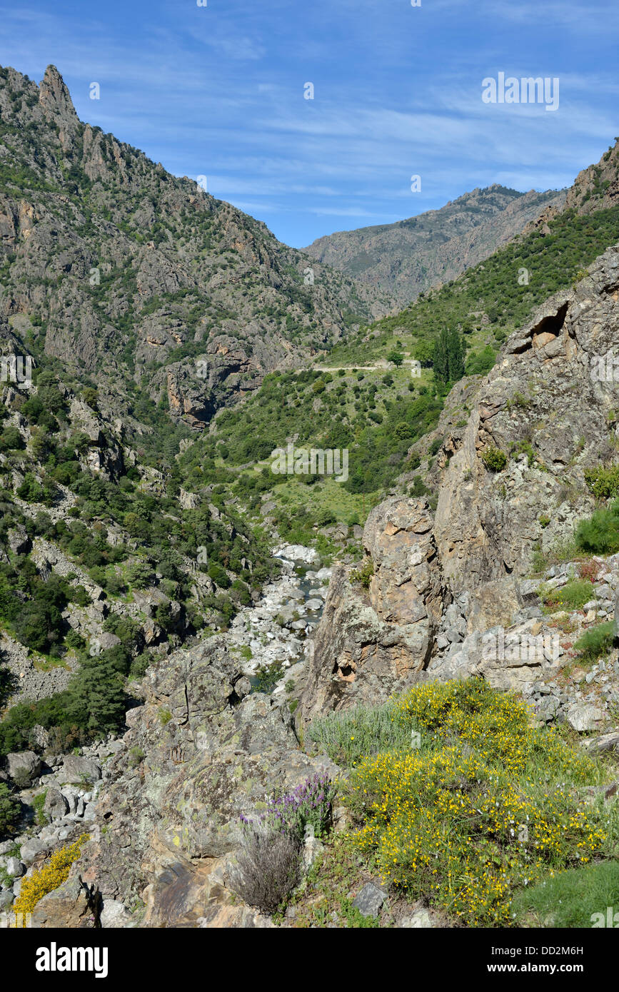 Paysage de montagne le long de Scala di Santa Regina road, Niolo, vallée de montagnes centrale, Corse, France Banque D'Images