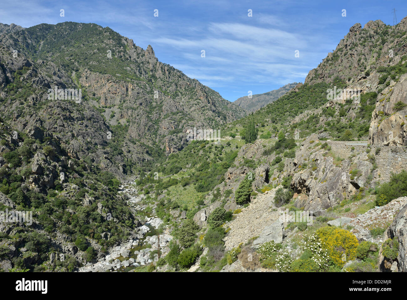 Paysage de montagne le long de Scala di Santa Regina road, Niolo, vallée de montagnes centrale, Corse, France Banque D'Images