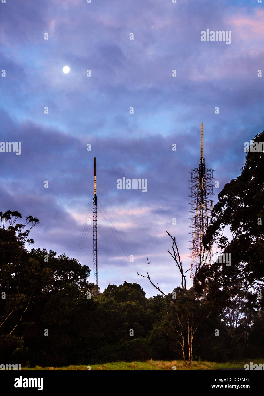 Téléphone portable mâts dans le bush australien, sous une pleine lune et un ciel crépusculaire rose et pourpre. La technologie rencontre la nature Banque D'Images