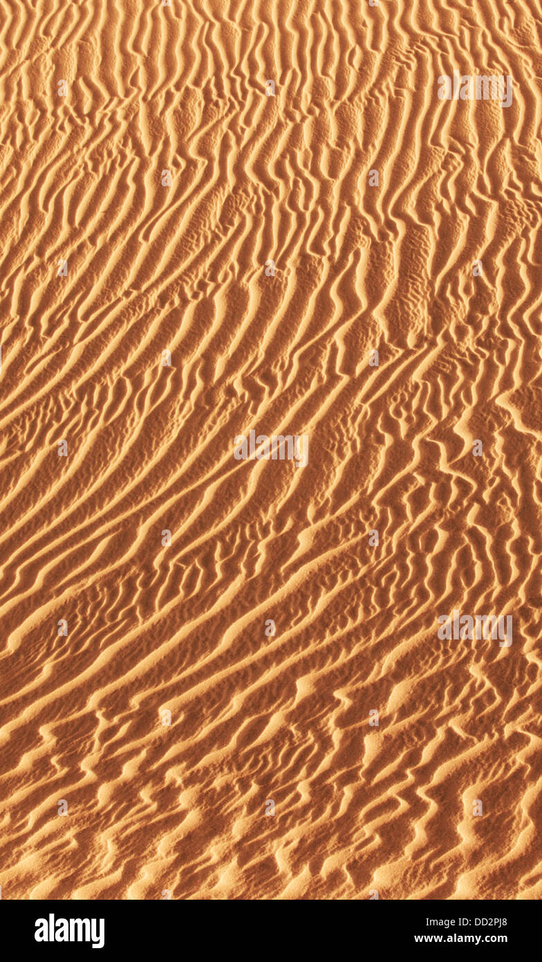 Paysage de dunes, Maspalomas, Gran Canaria, Îles Canaries, Espagne Banque D'Images