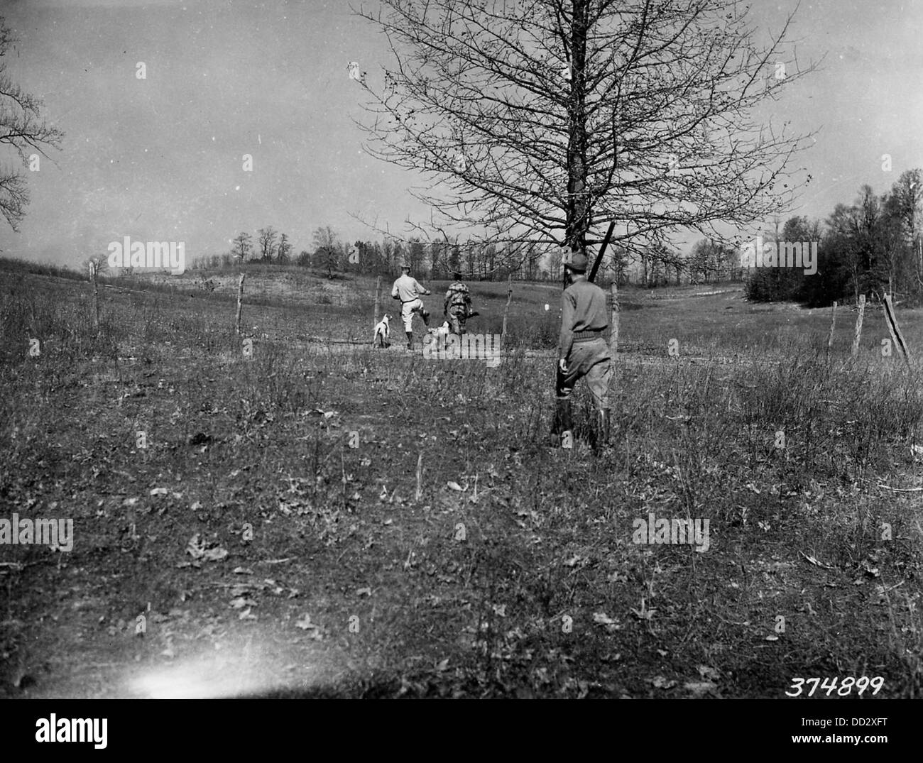 Un groupe de chasseurs de cailles sur le terrain, capturant une scène extérieure commune. L’activité démontre des pratiques de chasse traditionnelles, souvent transmises de génération en génération, dans diverses régions des États-Unis. Banque D'Images