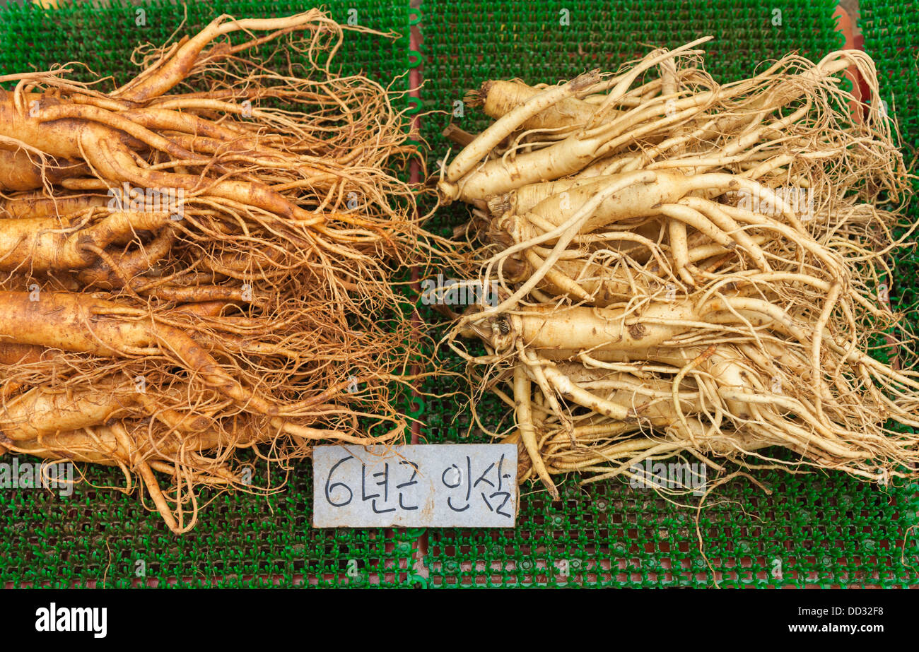 Les racines de ginseng de 6 ans à vendre dans un marché de plein air Coréen Banque D'Images Les racines de ginseng de 6 ans à vendre dans un marché de plein air Coréen Banque D'Images