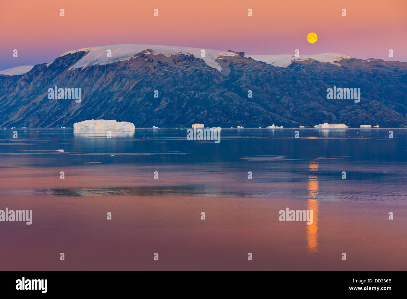 Les phases dans le fjord, Scoresby Sund Røde, Groenland Banque D'Images