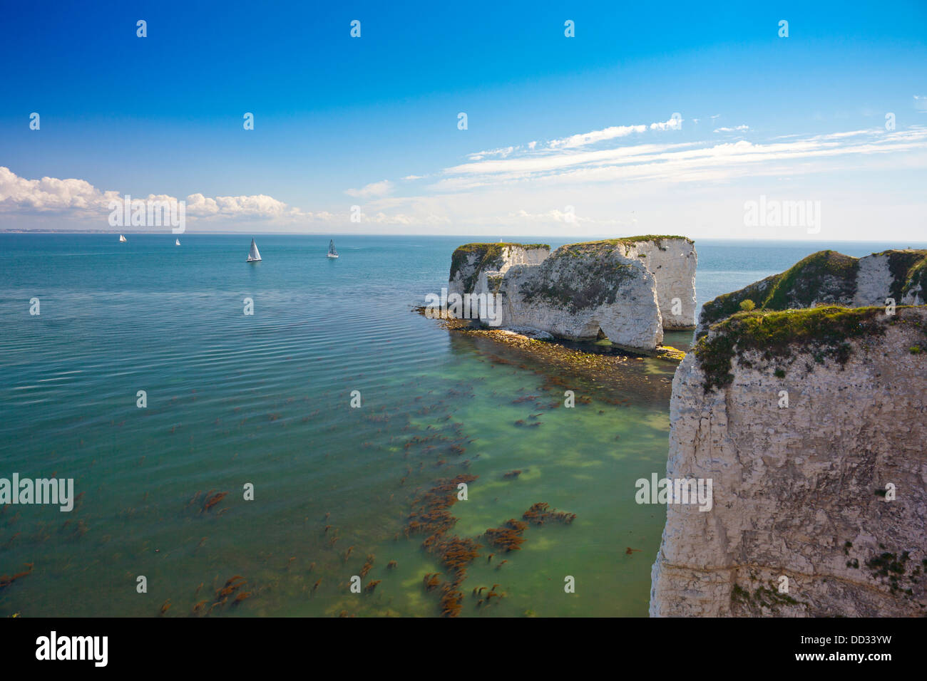 Les spectaculaires falaises de craie à Old Harry Rocks sur la côte du Dorset jurassique', 'nr Swanage, Angleterre, RU Banque D'Images