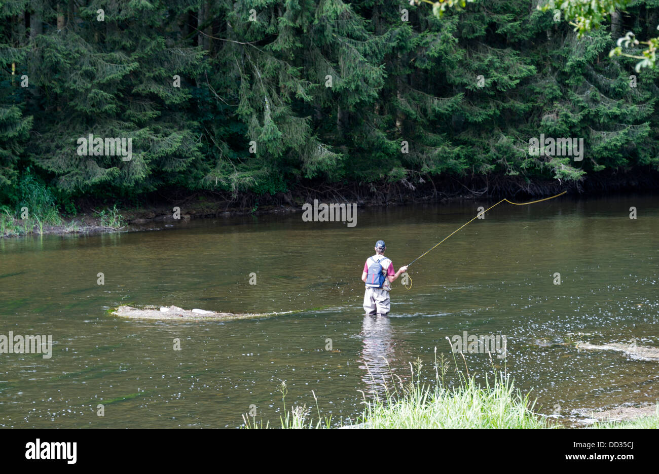 L'homme occupé avec la pêche à la mouche dans la rivière Semois belgique Banque D'Images