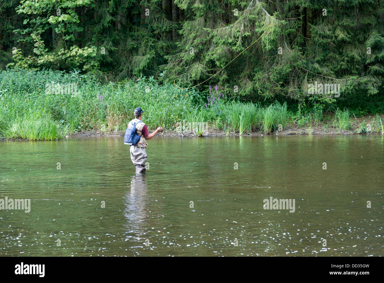 L'homme occupé avec la pêche à la mouche dans la rivière Semois belgique Banque D'Images