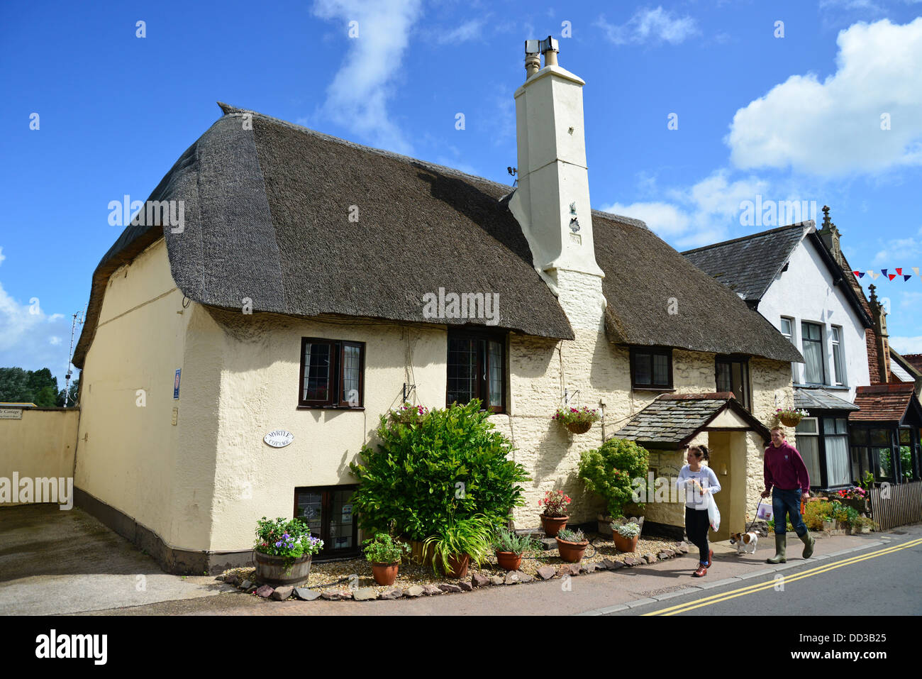 Thatched Myrtle Cottage B&B, High Street, Porlock, Parc National d'Exmoor, Somerset, England, United Kingdom Banque D'Images