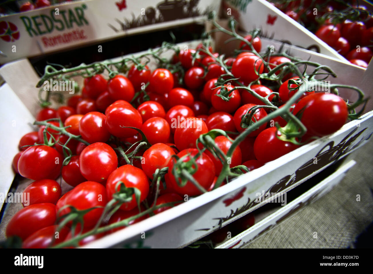 Des tomates fraîches en vente au London's Borough Market. Banque D'Images