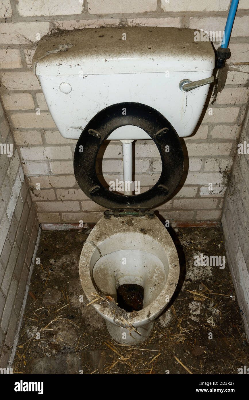 Toilettes sales et poussiéreux dans le besoin d'un nettoyage Banque D'Images