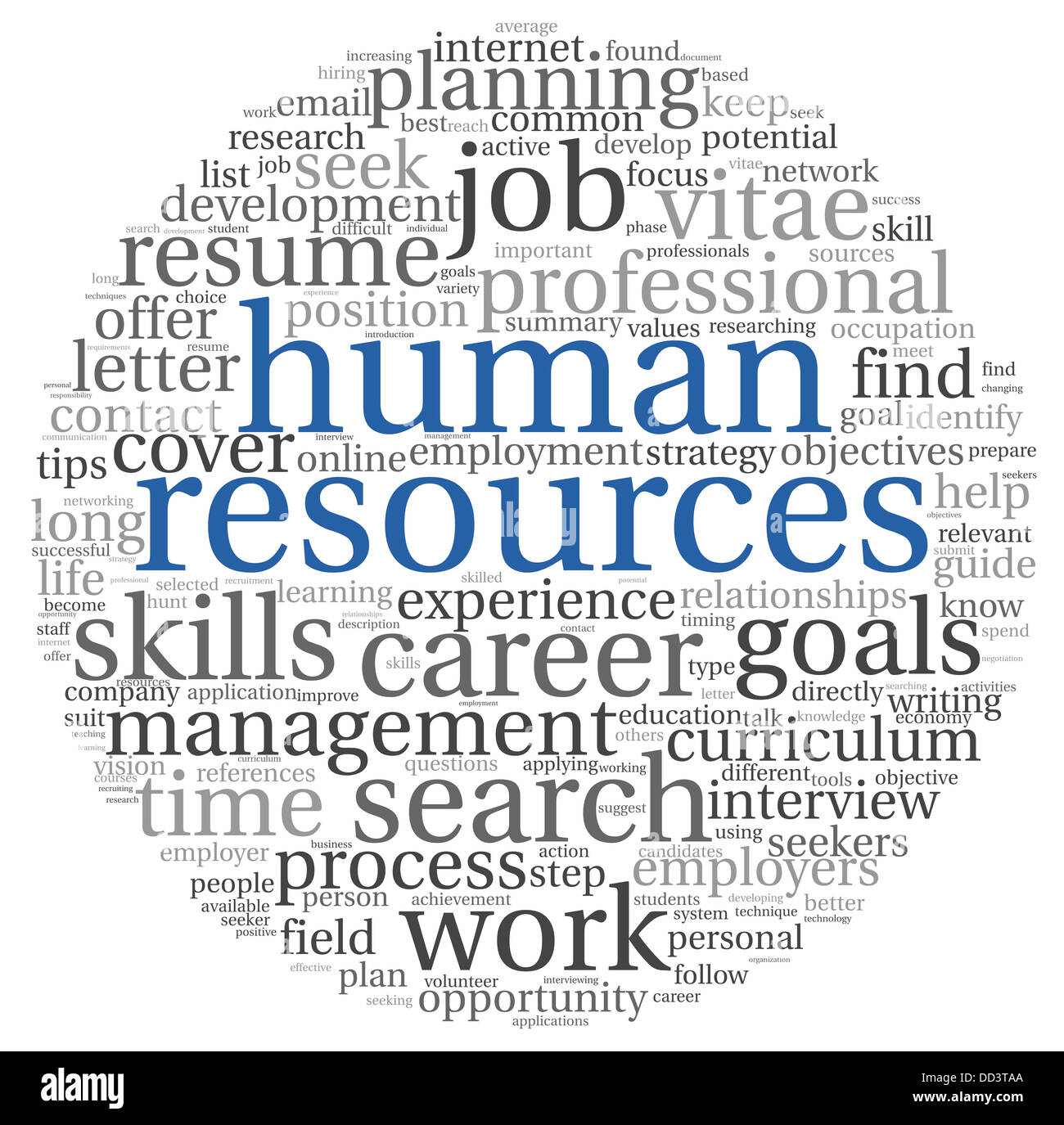 Concept des ressources humaines en nuage de tag sur fond blanc Photo Stock  - Alamy