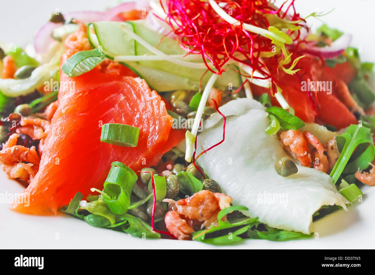 Salade avec du poisson rouge et blanc, les crevettes et les herbes Banque D'Images