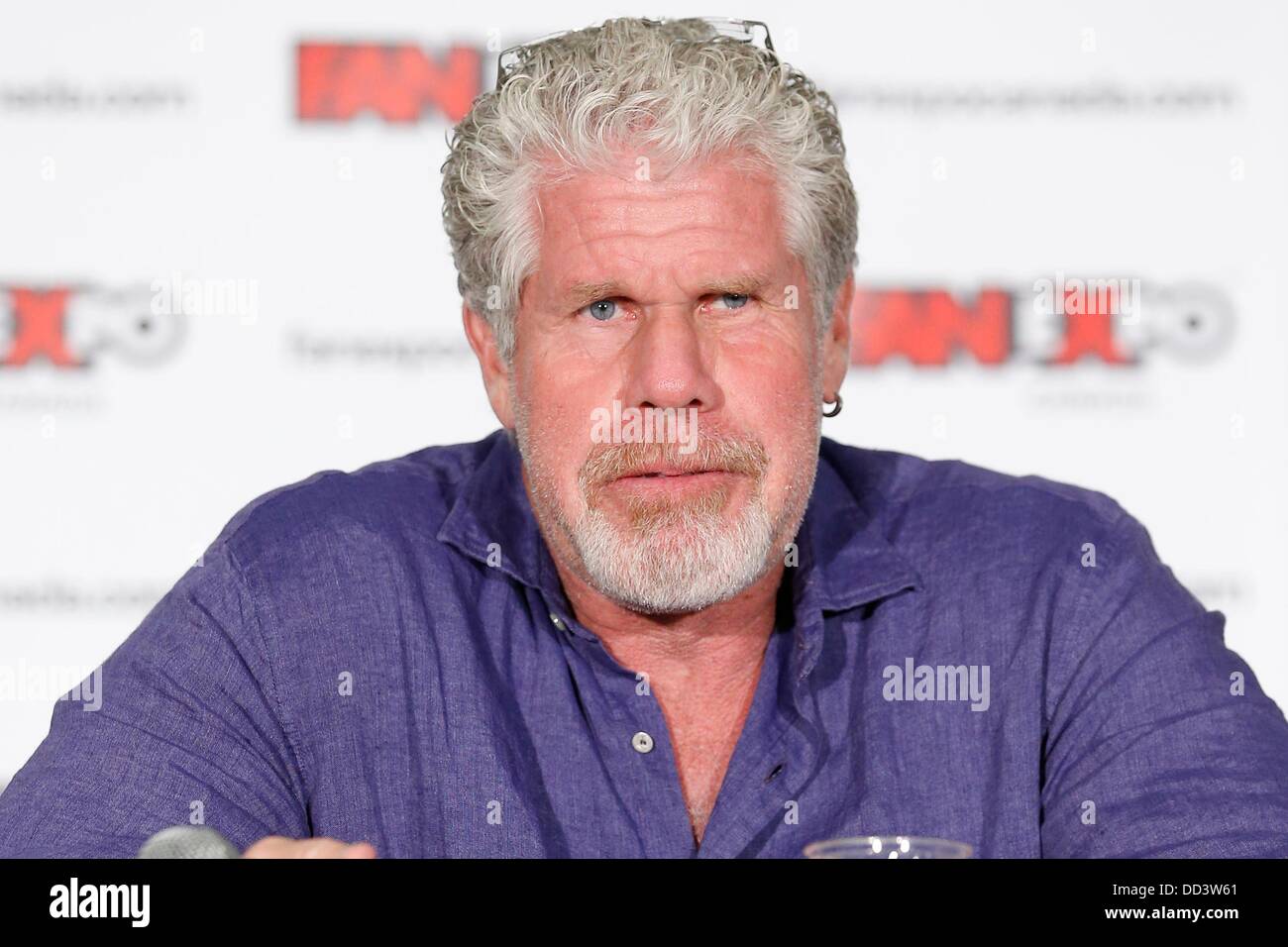 Toronto, ON. Août 25, 2013. Ron Perlman à une apparition publique pour ventilateur EXPO CANADA - Jour 2 SUN, Metro Toronto Convention Centre, Toronto, le 25 août 2013. Credit : Nicole Springer/Everett Collection/Alamy Live News Banque D'Images