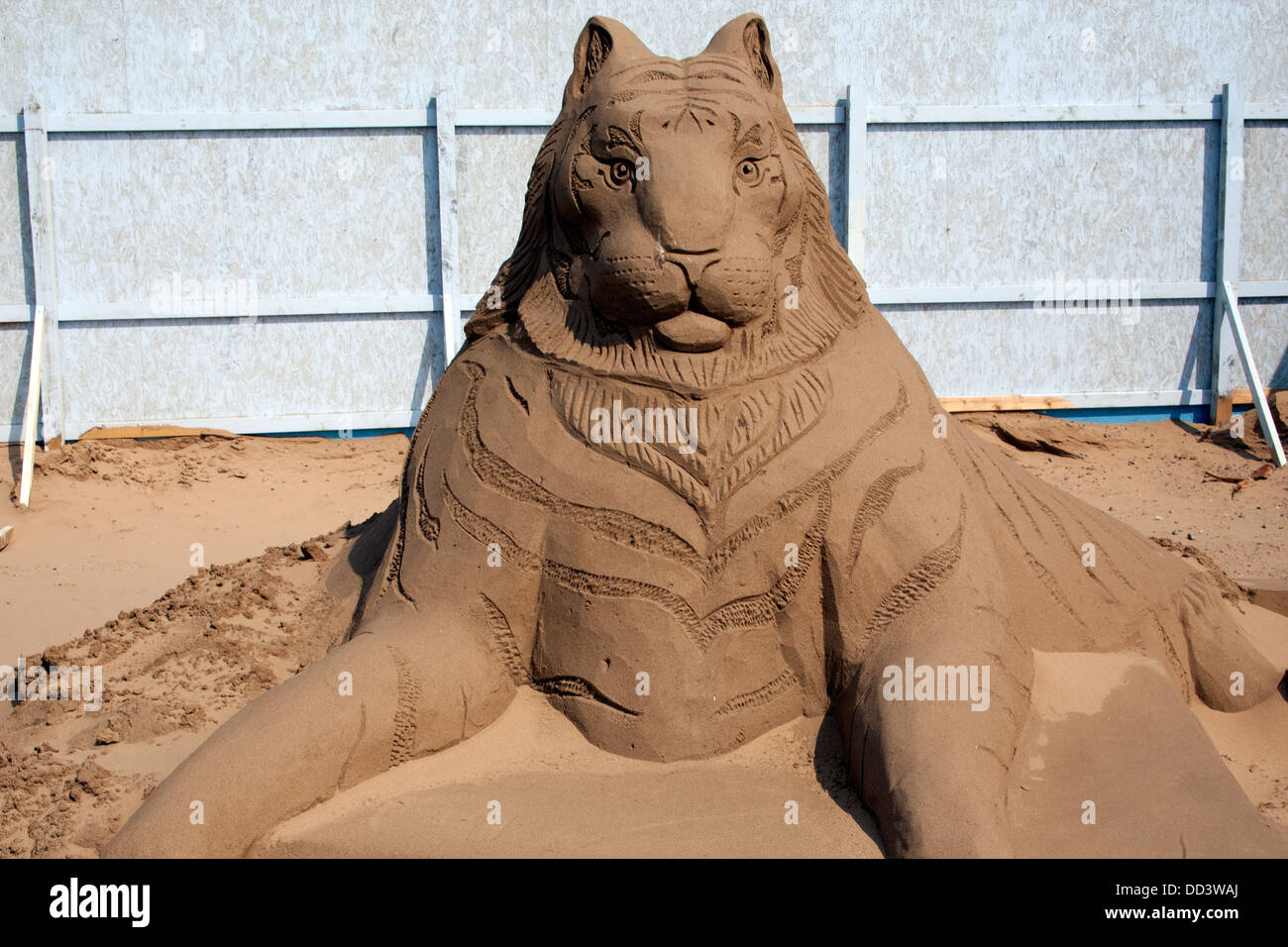 Life of Pi Tiger sculptures de sable au thème Hollywood Festival de sculptures de sable 2013 Weston Weston Super Mare Somerset en Angleterre Banque D'Images