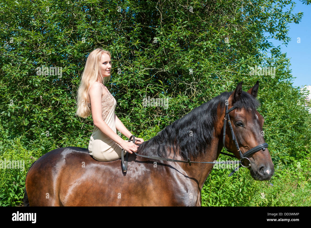 Jeune jolie fille à cheval dans la forêt Banque D'Images