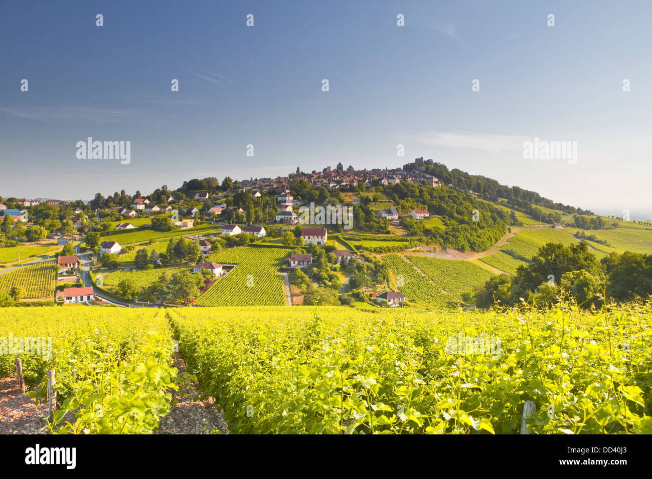 Le vignoble de Sancerre dans la vallée de la Loire de France. Banque D'Images