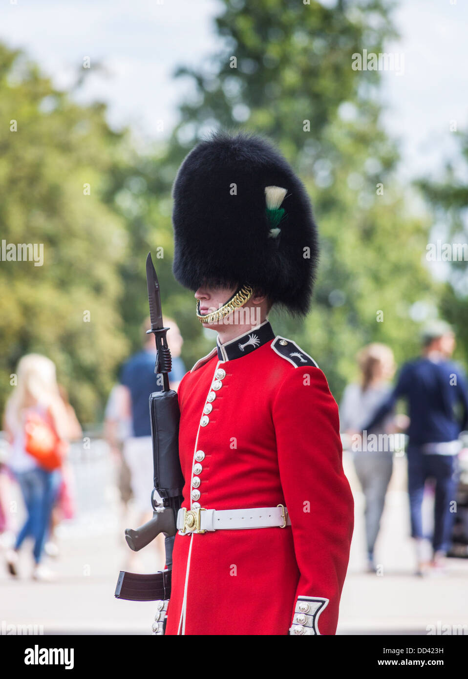 Soldat dans la garde de la Reine au château de Windsor, en Angleterre, avec l'uniforme rouge, aux armes à feu et le noir traditionnel cap bearskin ou busby Banque D'Images