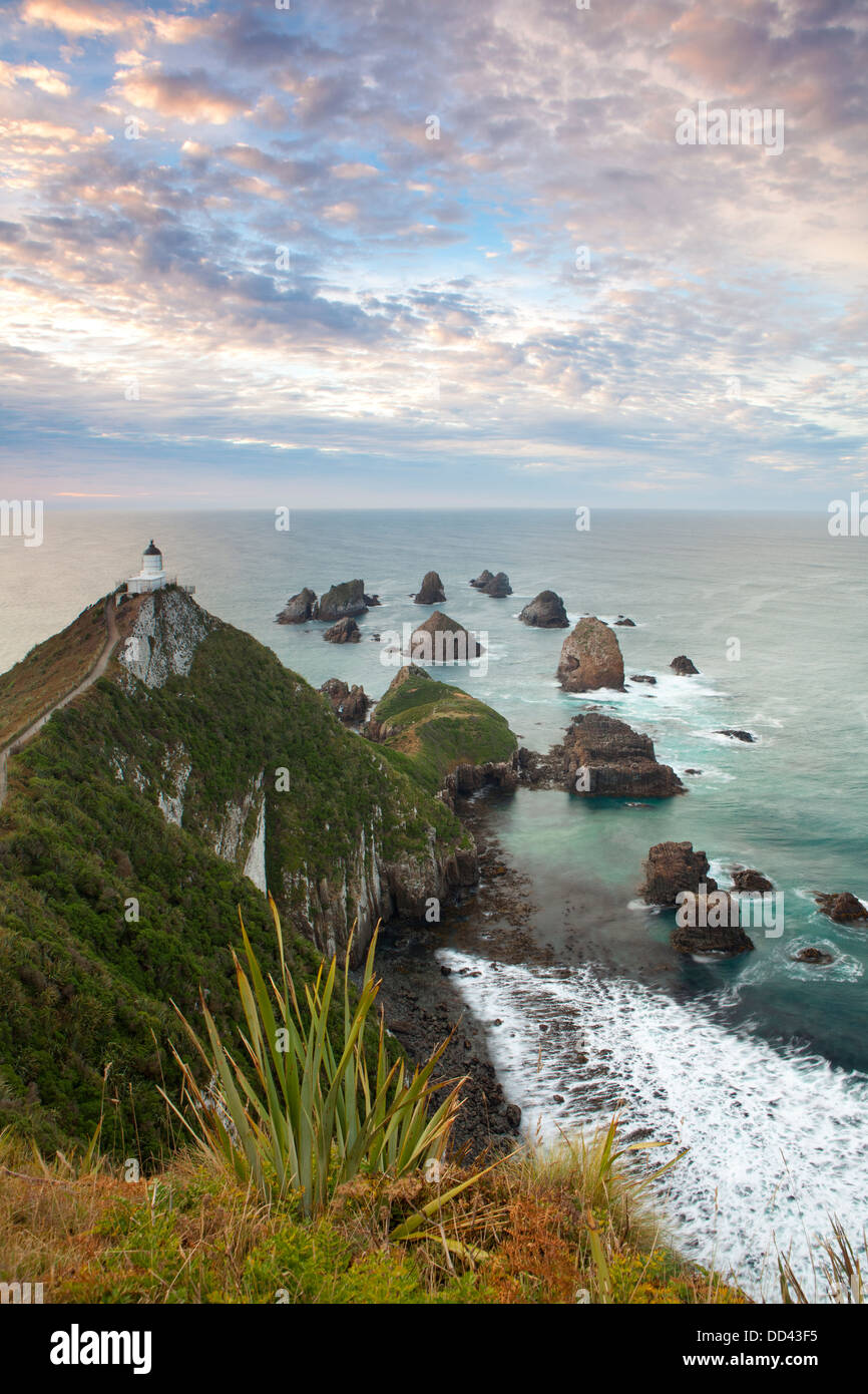 Nugget point cape dans Kaimataitai, île du Sud, Nouvelle-Zélande Banque D'Images