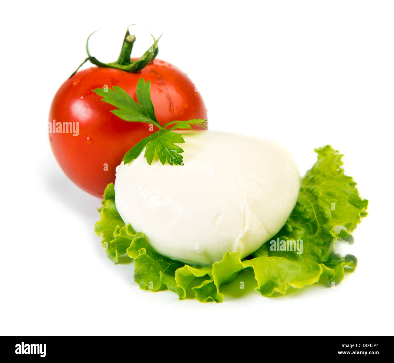 Boule de mozzarella fraîche sur feuille de laitue et tomates isolated over white Banque D'Images