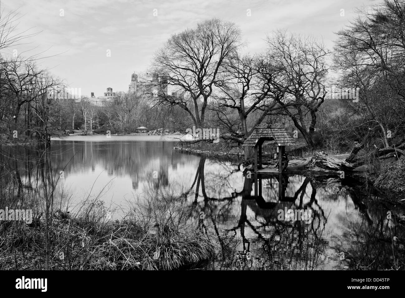 Le lac, Cherry Hill, New York, Central Park, B&W Banque D'Images