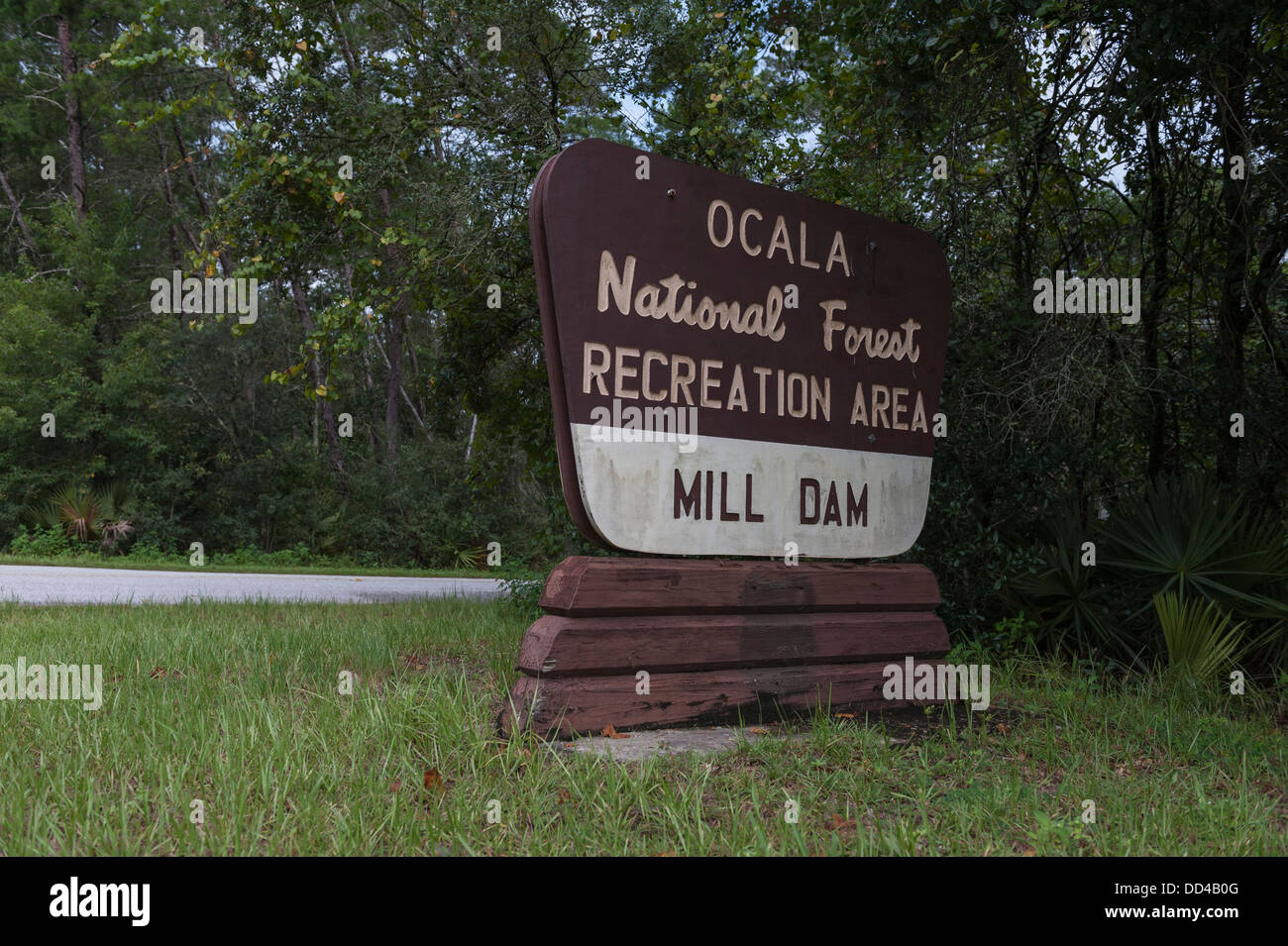 La Forêt nationale d'Ocala, Floride Mill Dam Recreation Area Panneau d'entrée. Banque D'Images