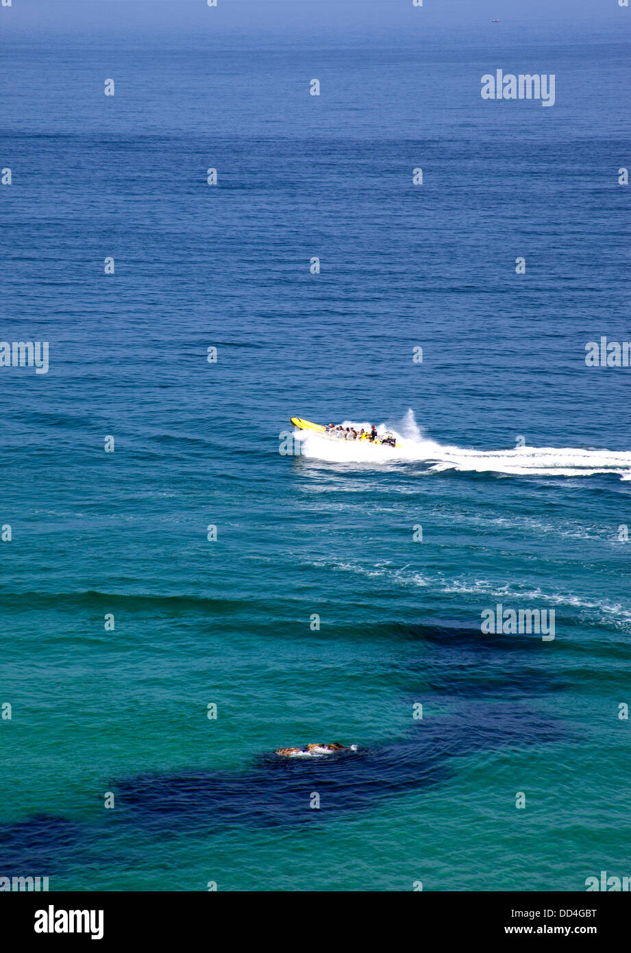 Bateau gonflable rigide haute vitesse prise de touristes autour de l'île et les eaux au large de la côte de St Ives Cornwall Banque D'Images