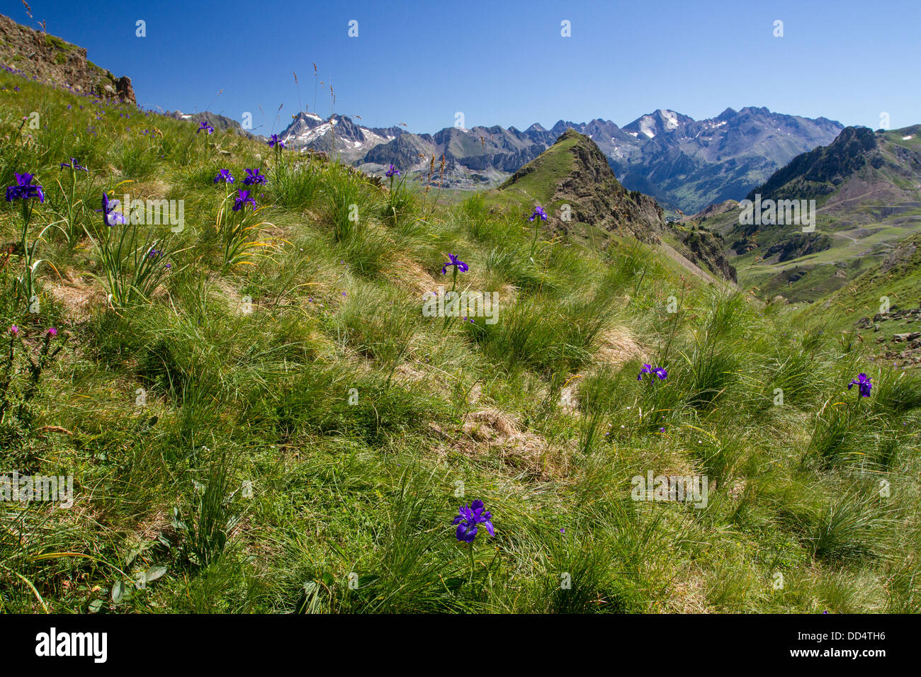 Vues de l'Anayet, Pyrénées. Banque D'Images