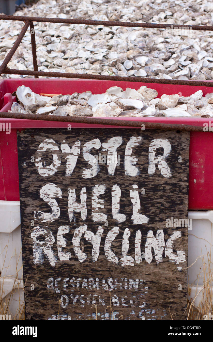 Recyclage d'Huître Whitstable Kent UK Banque D'Images