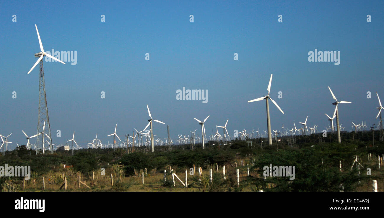 Wind Mill Farm à Nagercoil, Inde Banque D'Images