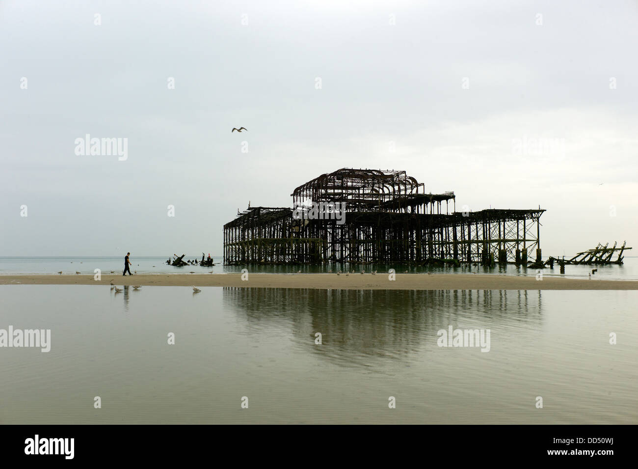 L'abandon de Brighton West Pier, marée basse, la réflexion Banque D'Images