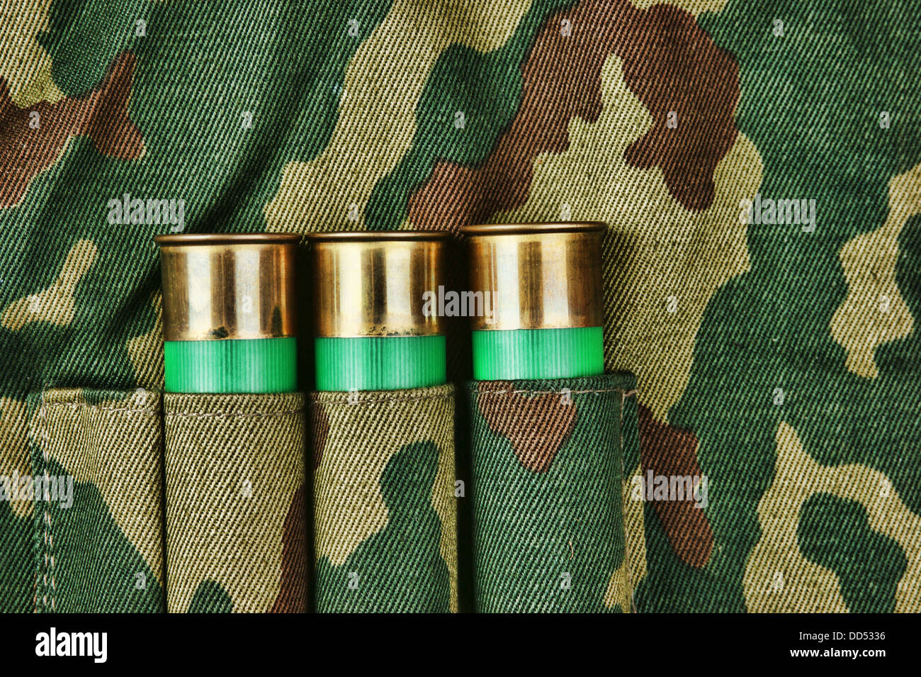 Vieilles cartouches de fusil de chasse Banque de photographies et d