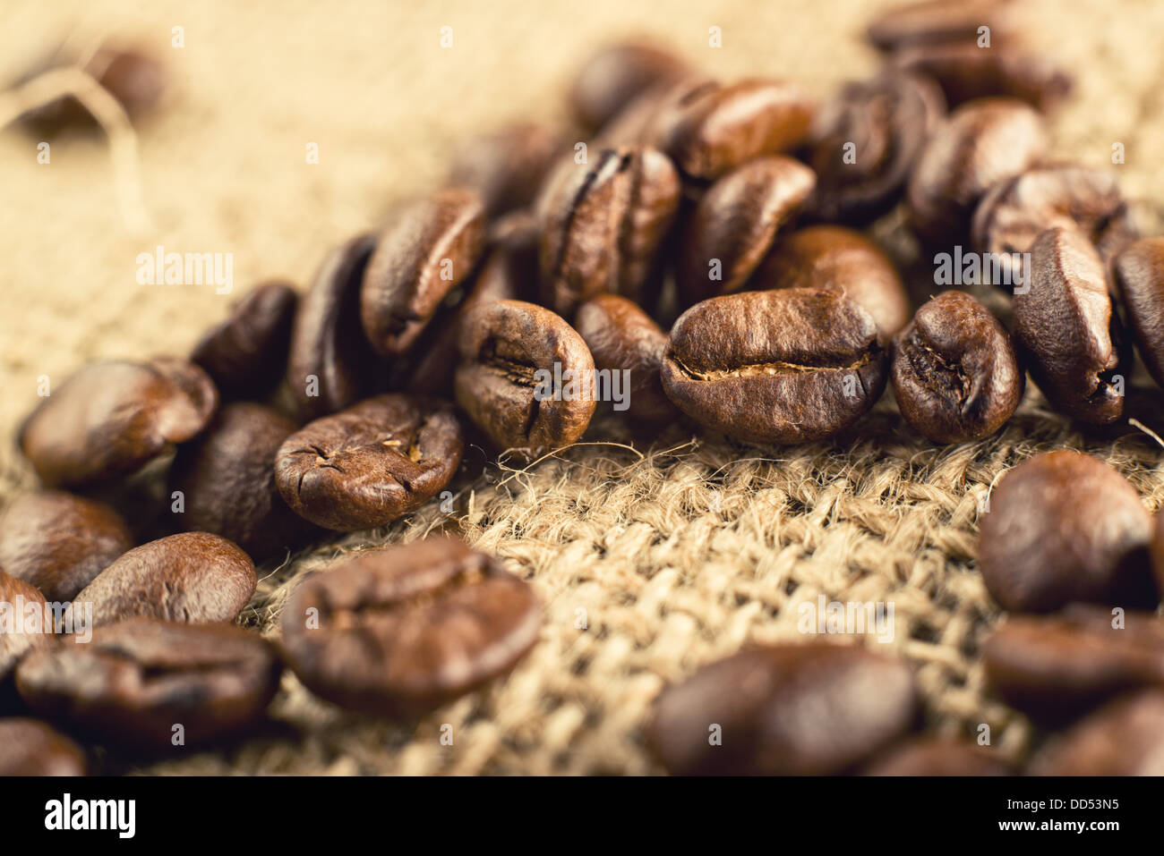 Sur les grains de café en toile de jute de texture. Un plan macro. Banque D'Images