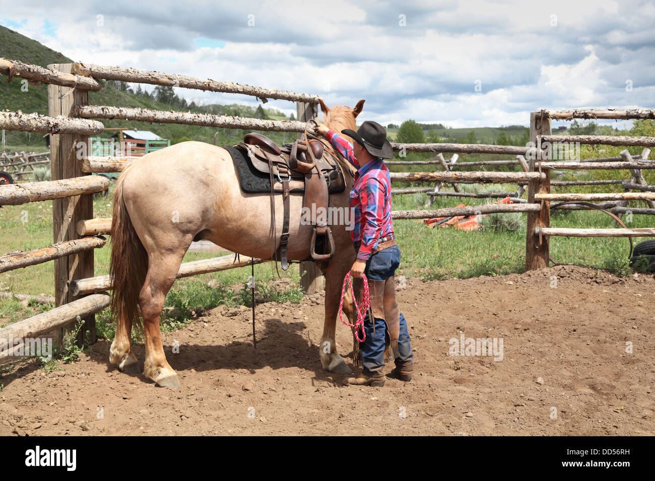 Formation en cheval de cow-boy corral dans le Montana USA Banque D'Images