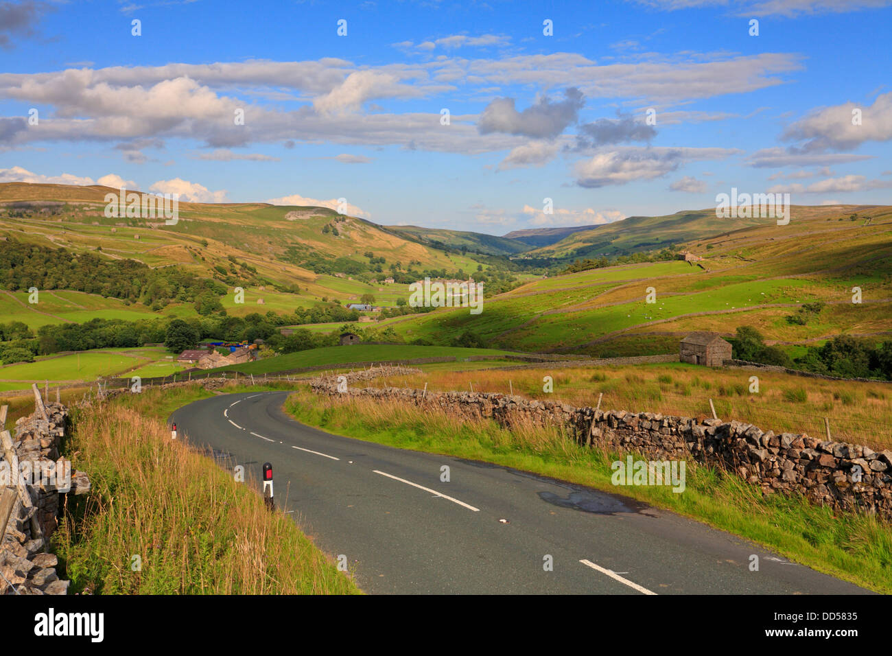 Swaledale et Buttertubs Muker de Road, North Yorkshire, Yorkshire Dales National Park, England, UK. Banque D'Images