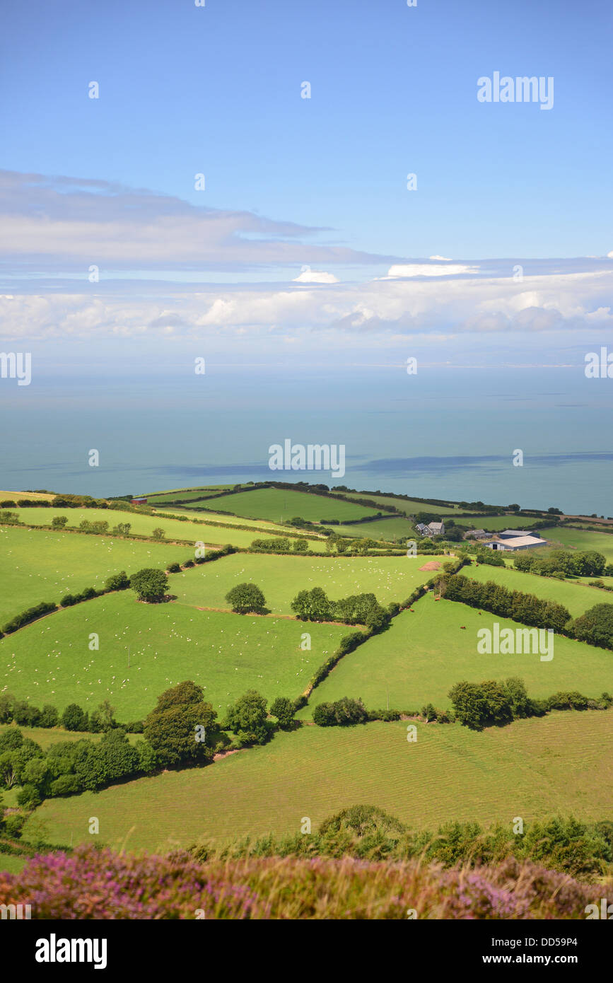 Parc National d'Exmoor de Porlock Hill, Somerset, England, United Kingdom Banque D'Images