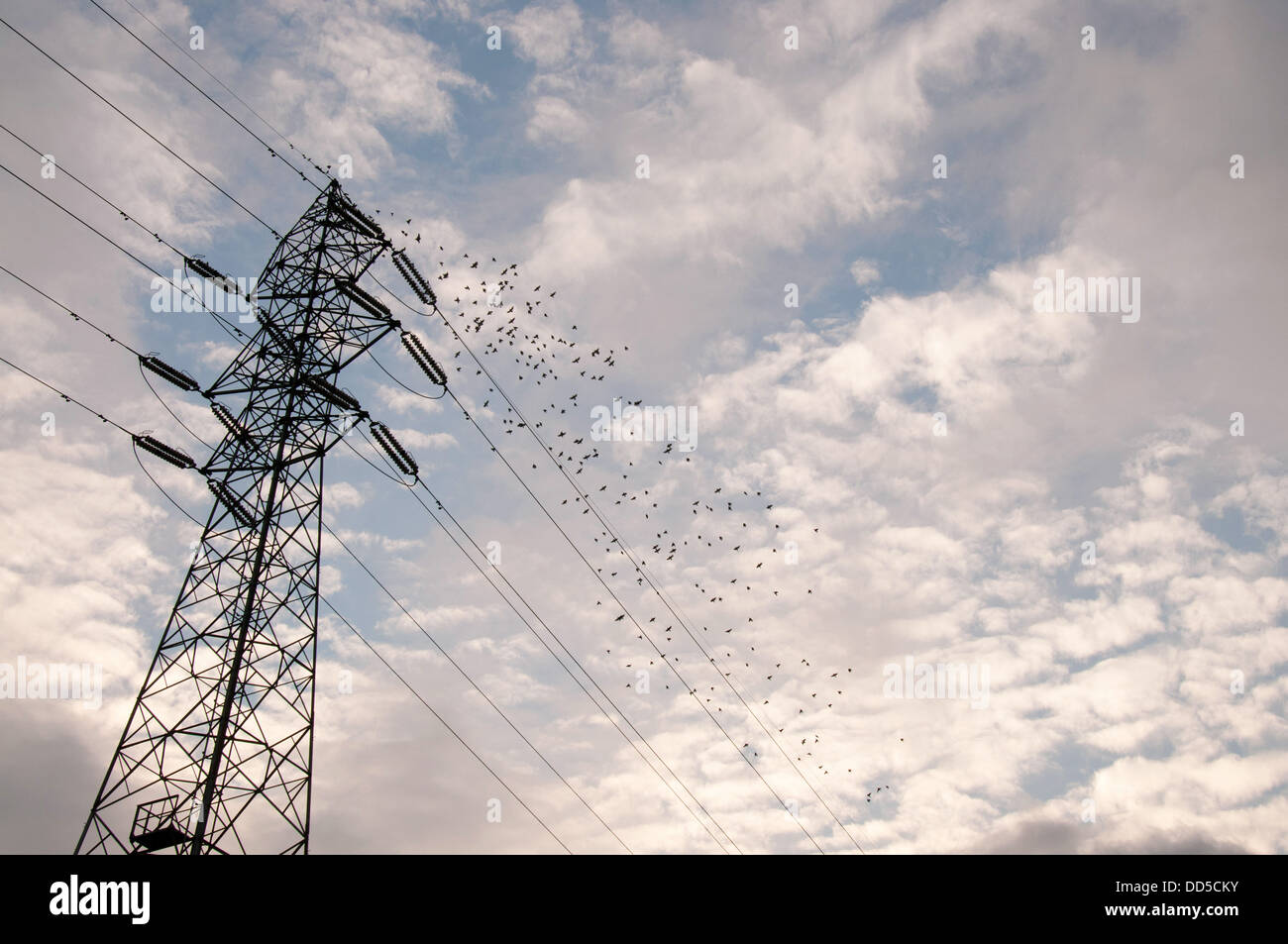 Tour de transmission et du ciel Banque D'Images