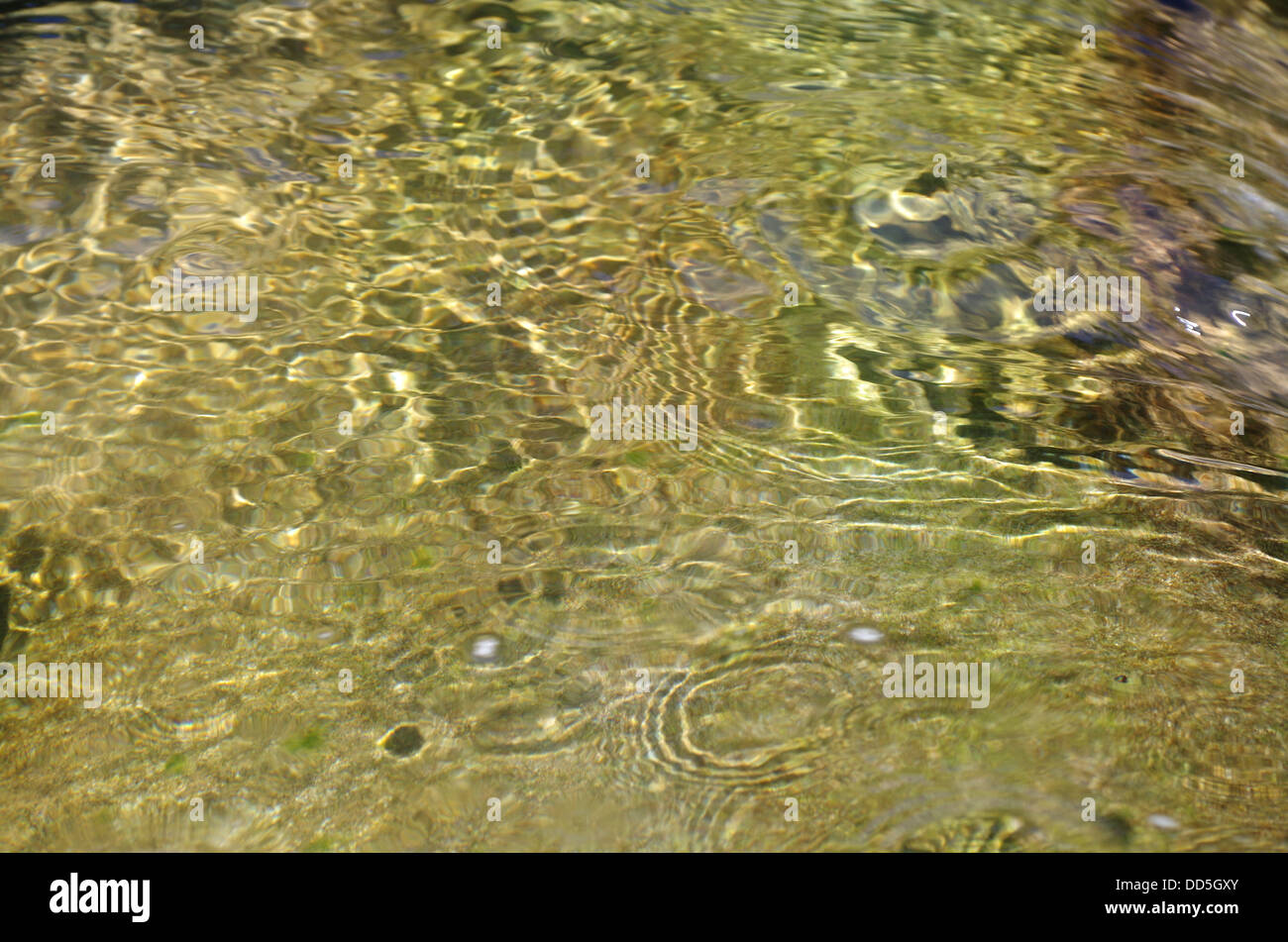 Clair ruisseau de montagne. Résumé Contexte L'eau. Banque D'Images