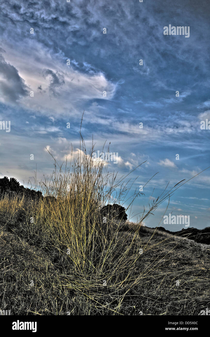 Une image surréaliste d'un ciel bleu avec des nuages blancs vaporeux et premier plan Hay. Banque D'Images