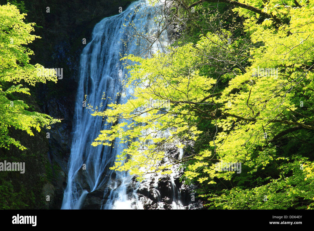 Marugami cascade, Préfecture de Saitama Banque D'Images