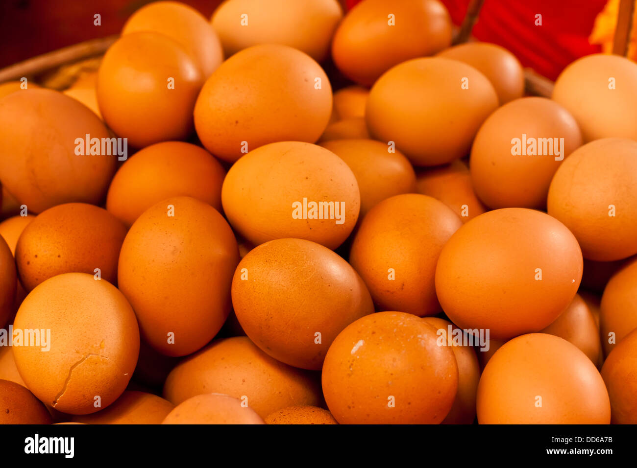 oeuf de poule Banque D'Images