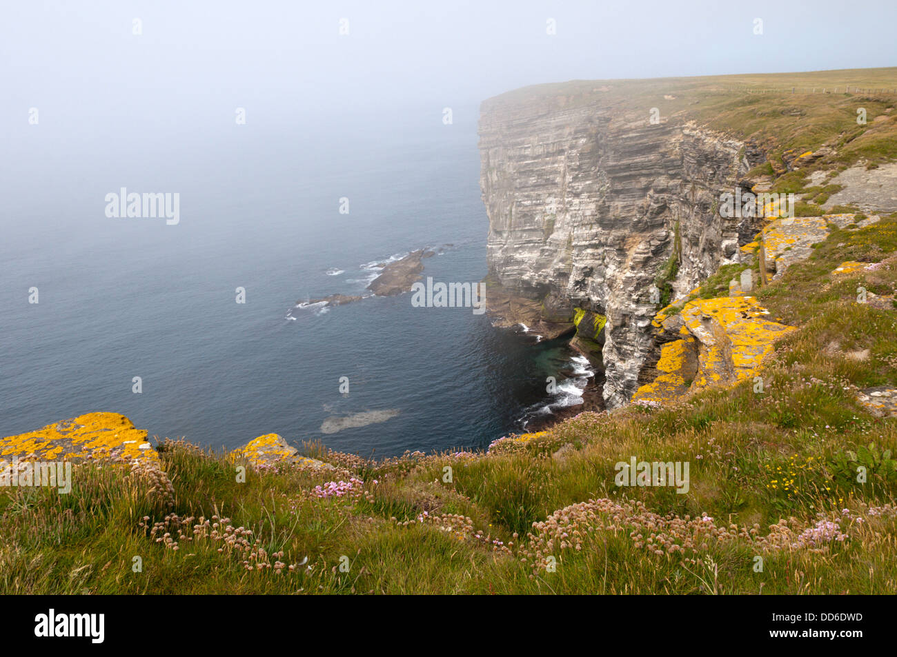 Une mer de brume à Marwick Head, Orkney. Banque D'Images